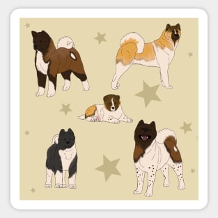 Akita American Pattern Creme Sticker